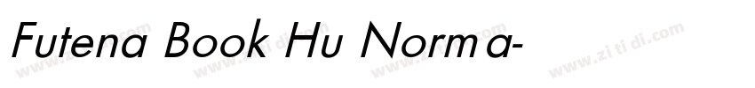Futena Book Hu Norma字体转换